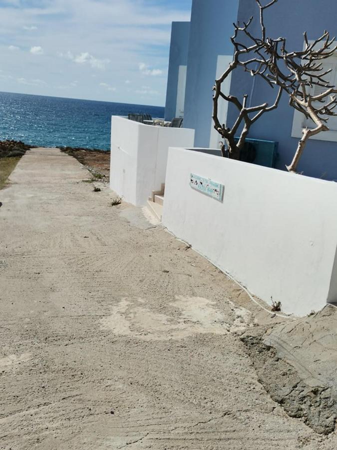 Arkasa Karpathos Seafront Paradisos Φοινίκι Εξωτερικό φωτογραφία