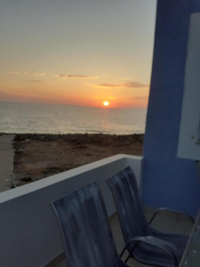Arkasa Karpathos Seafront Paradisos Φοινίκι Εξωτερικό φωτογραφία